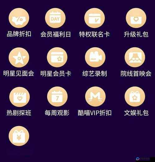 黄金网站 app 在线观看大全免费视频：无尽精彩等你发掘